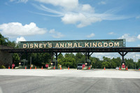 Intro- Disneys Animal Kingdom